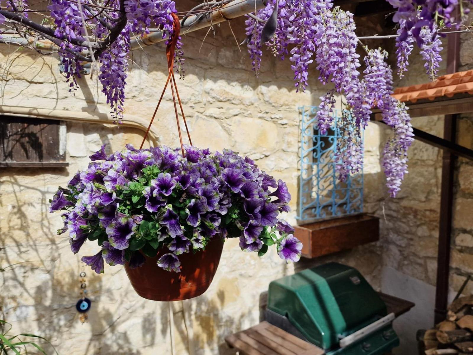 Kalimera A Lovely 1-Bedroom Rental With Ensuite And Kitchen 레메소스 외부 사진