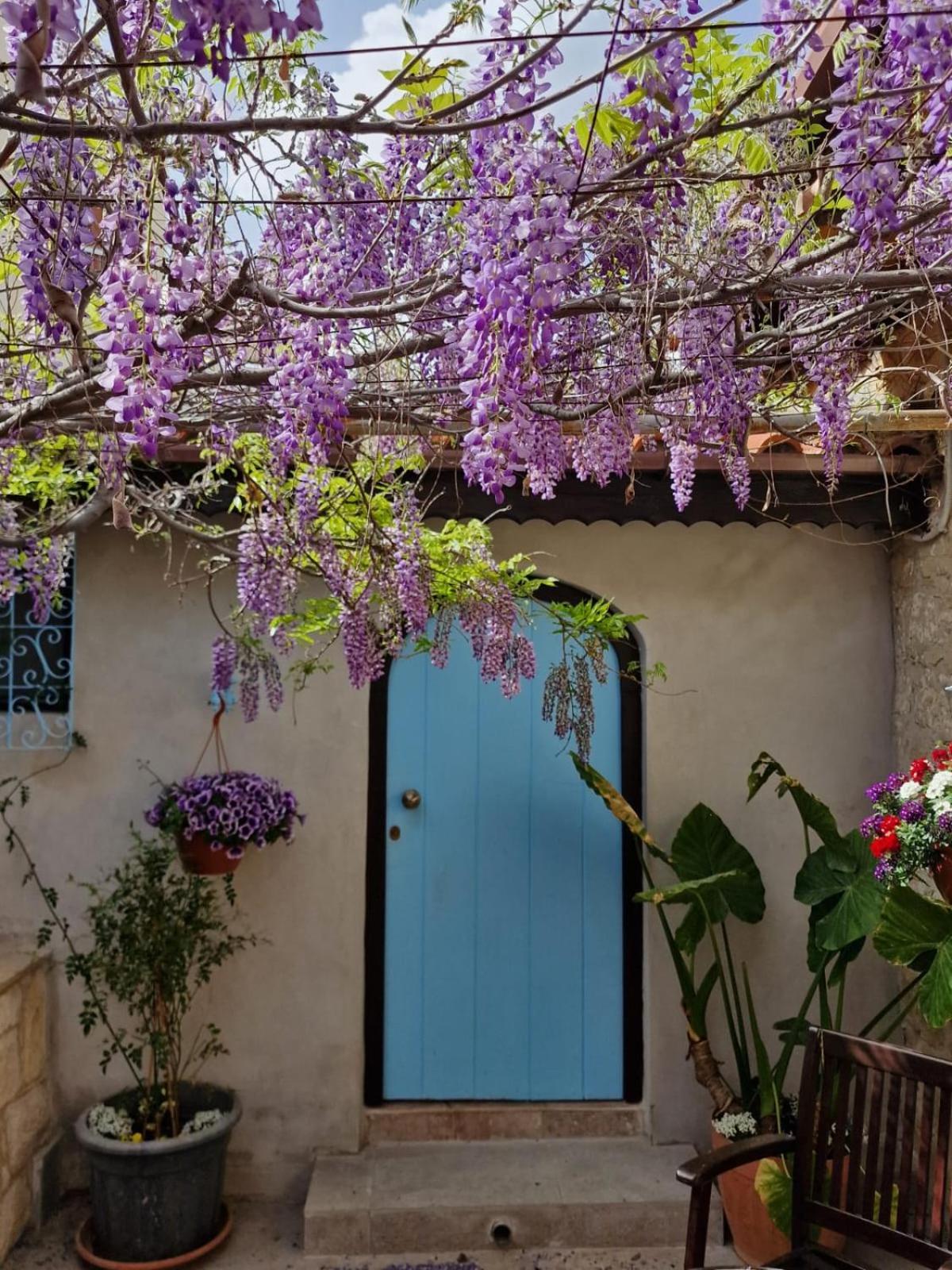 Kalimera A Lovely 1-Bedroom Rental With Ensuite And Kitchen 레메소스 외부 사진